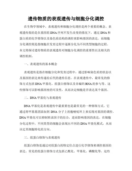 遗传物质的表观遗传与细胞分化调控