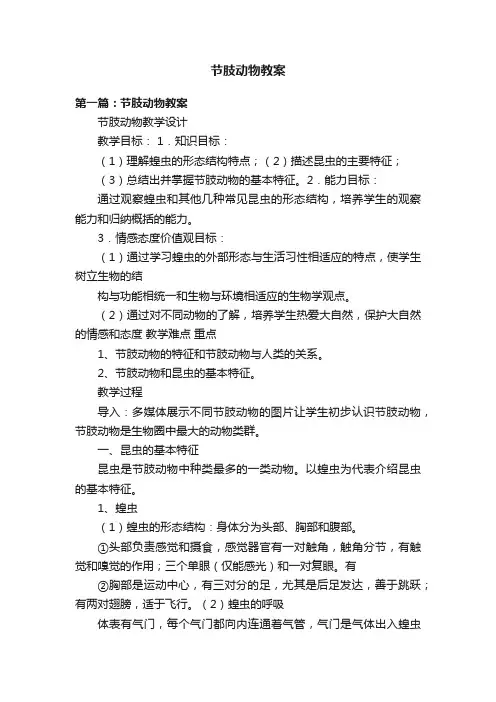 节肢动物教案
