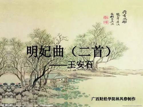 明妃曲王安石PPT课件