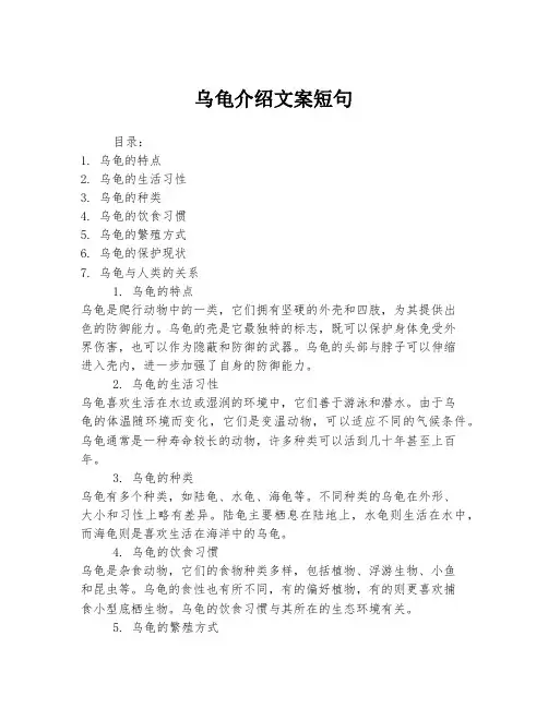 乌龟介绍文案短句