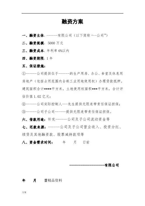 融资的方案(模板).doc