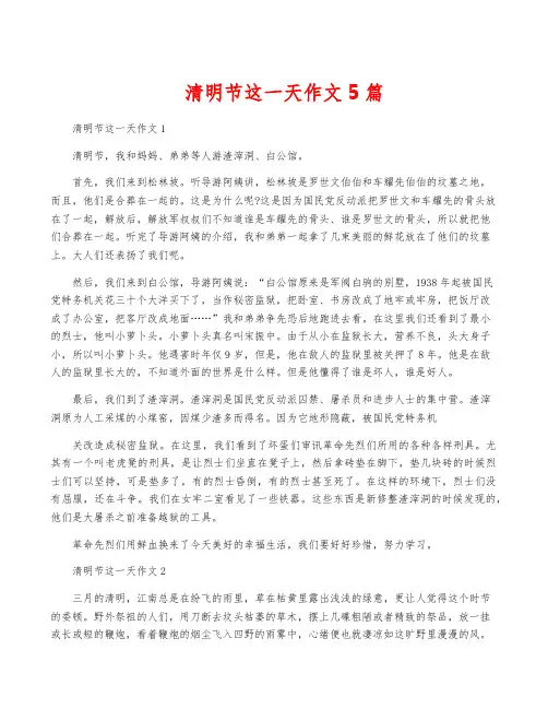 清明节这一天作文5篇