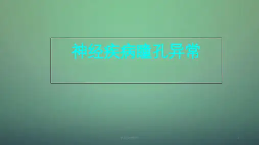 瞳孔观察ppt课件