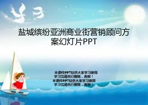 盐城缤纷亚洲商业街营销顾问方案幻灯片PPT