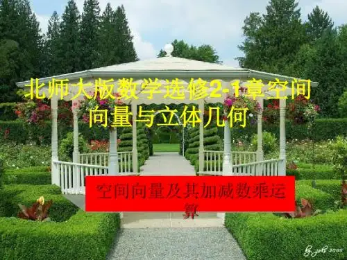 北师大版  空间向量与加减数乘运算优秀课件
