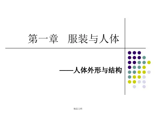 人体结构与外形概述