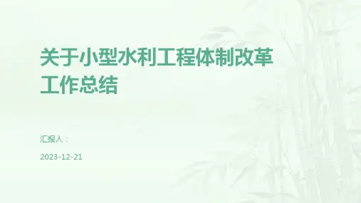 关于小型水利工程体制改革工作总结