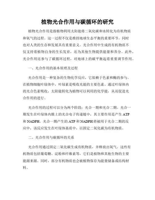 植物光合作用与碳循环的研究