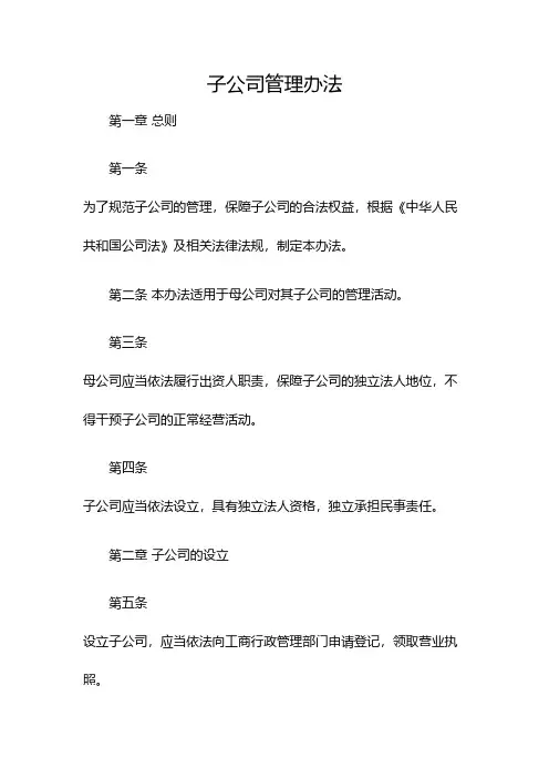 子公司管理办法(双篇)