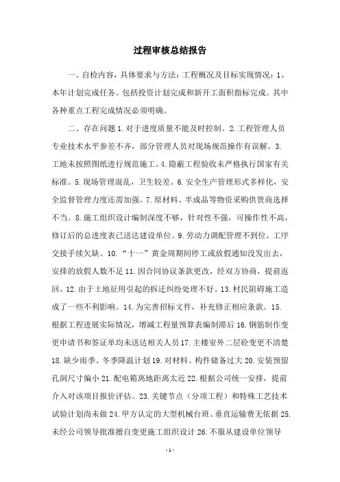 过程审核总结报告