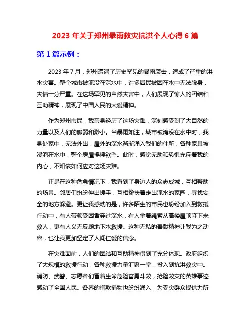 2023年关于郑州暴雨救灾抗洪个人心得6篇