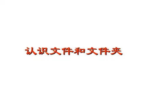 信息技术下册 第2课《文件与文件夹》
