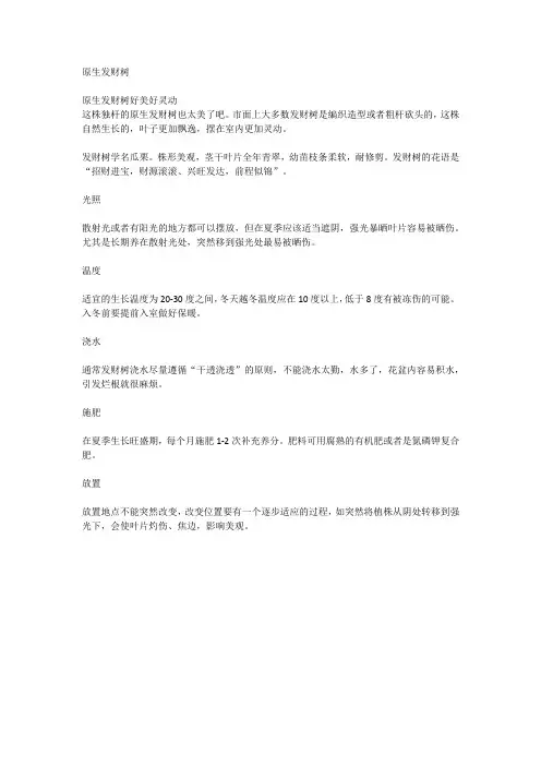 原生发财树