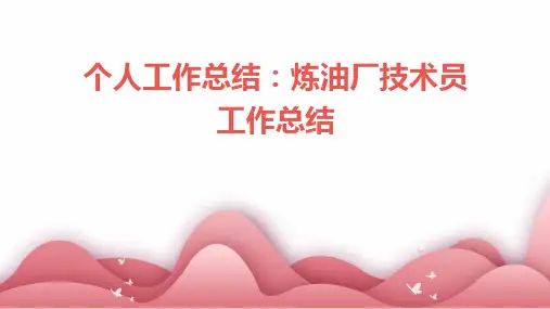 个人工作总结炼油厂技术员工作总结PPT