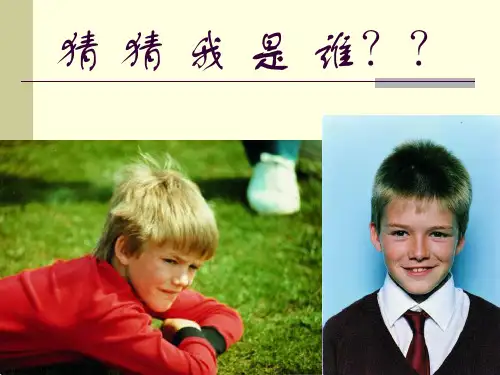 贝克汉姆介绍