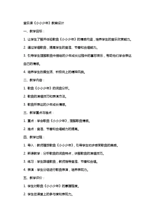 音乐课《小小少年》教案设计