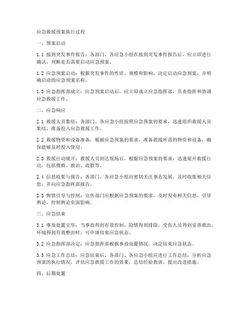 应急救援预案执行过程
