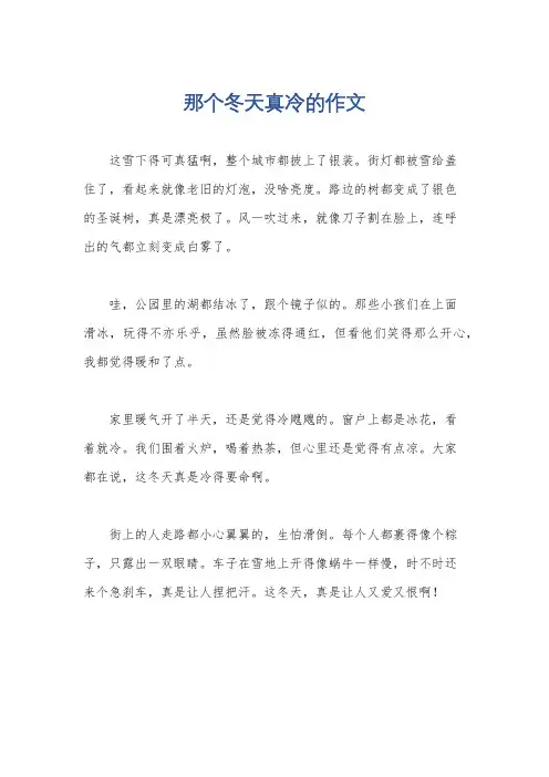 那个冬天真冷的作文