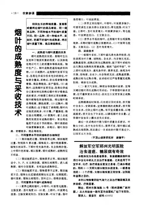 烟叶的成熟度与采收技术