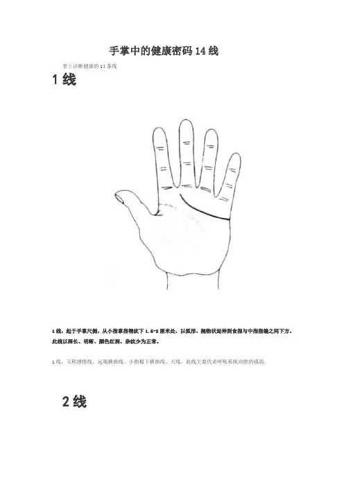 手掌中的健康密码14线