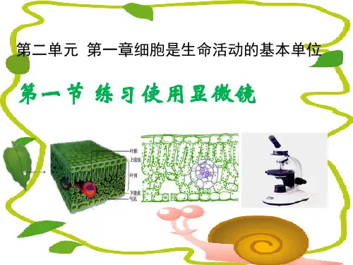 人教版初中生物七年级上第二单元第一章第一节 练习使用显微镜 课件  (共20张PPT)