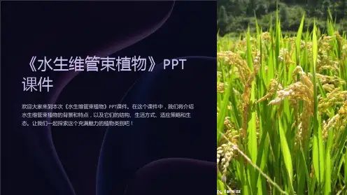 《水生维管束植物》课件