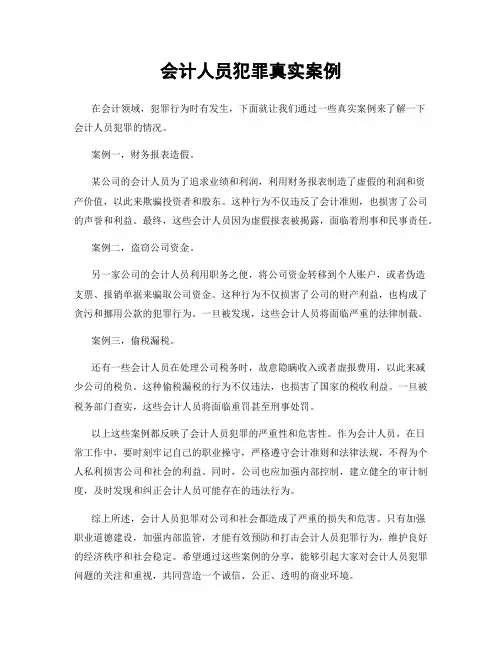 会计人员犯罪真实案例