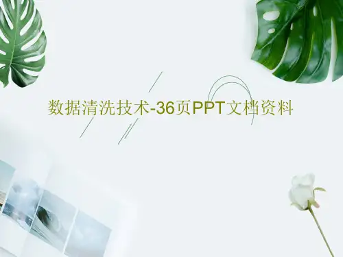 数据清洗技术-36页PPT文档资料共38页