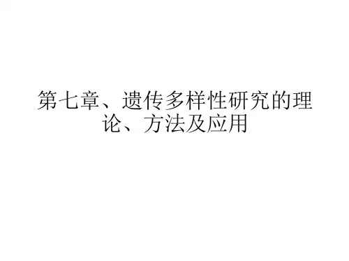 遗传多样性研究的理论、ppt课件