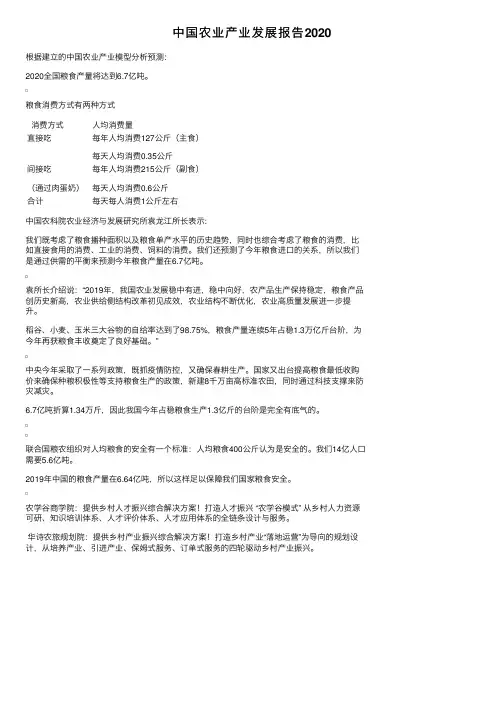 中国农业产业发展报告2020