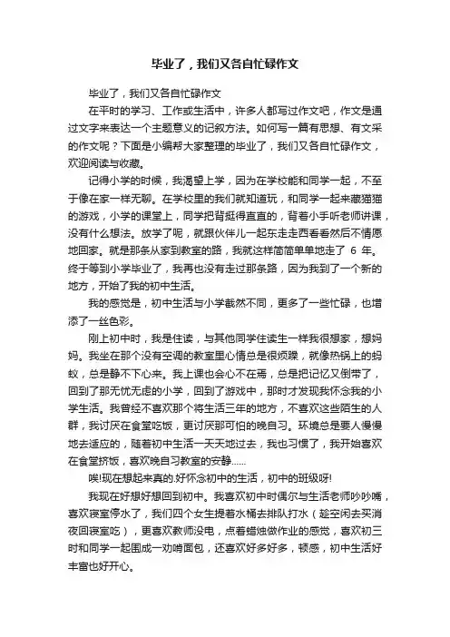 毕业了，我们又各自忙碌作文