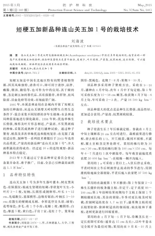 短梗五加新品种连山关五加1号的栽培技术