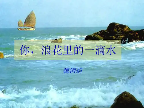 浙教版六年级上册浪花里的一滴水课件