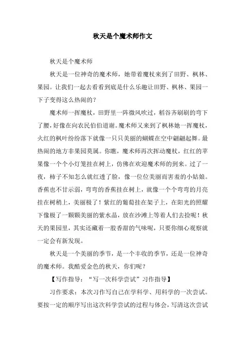 秋天是个魔术师作文