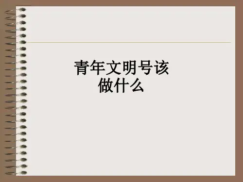 青年文明号该做什么_ppt课件