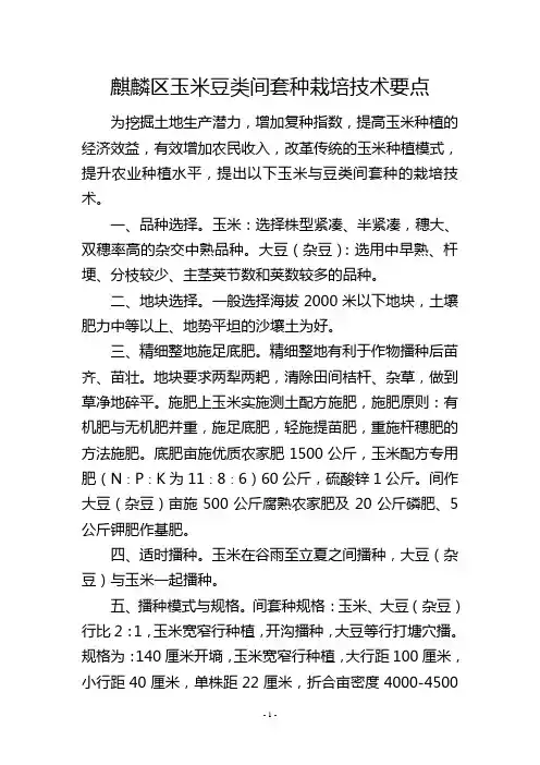 麒麟区玉米豆类间套种栽培技术要点