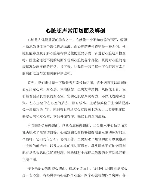 心脏超声常用切面及解剖