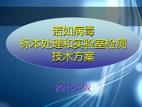 诺如病毒标本处理和实验室检测技术方案ppt课件