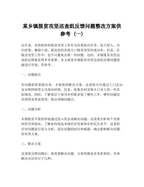 某乡镇脱贫攻坚巡査组反馈问题整改方案供参考 (一)