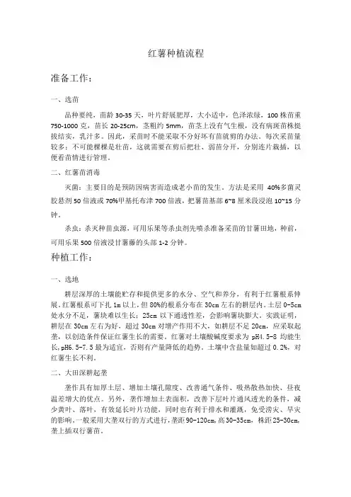 红薯种植流程