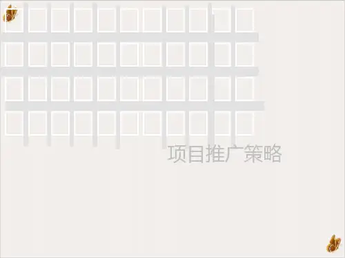 某别墅项目推广策略PPT公开课(53页)