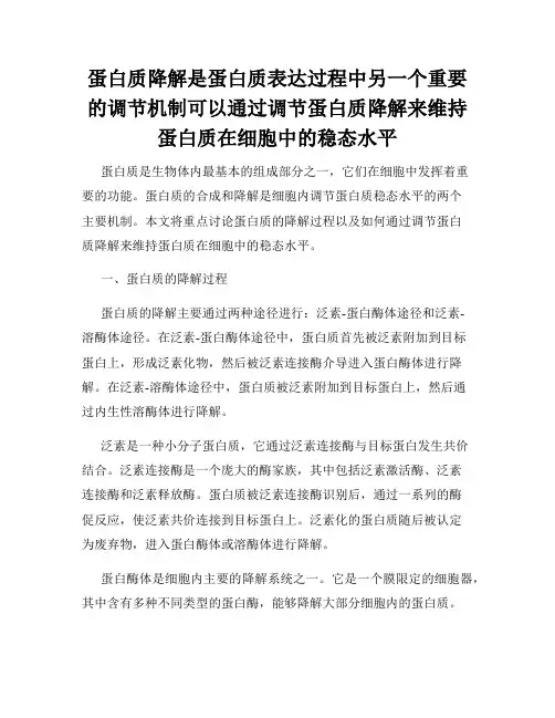蛋白质降解是蛋白质表达过程中另一个重要的调节机制可以通过调节蛋白质降解来维持蛋白质在细胞中的稳态水平