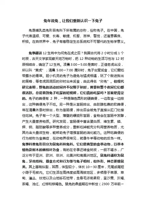 兔年说兔，让我们重新认识一下兔子