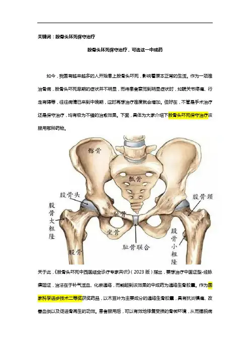 股骨头坏死保守治疗,可选这一中成药