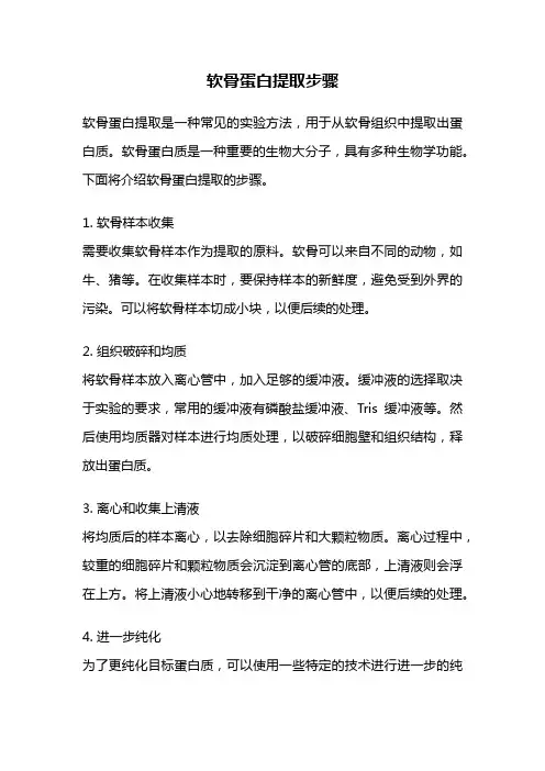 软骨蛋白提取步骤