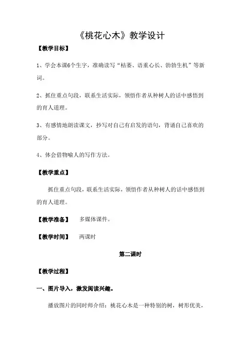 人教版小学语文六年级下册《 3 桃花心木》优质课教学设计_6