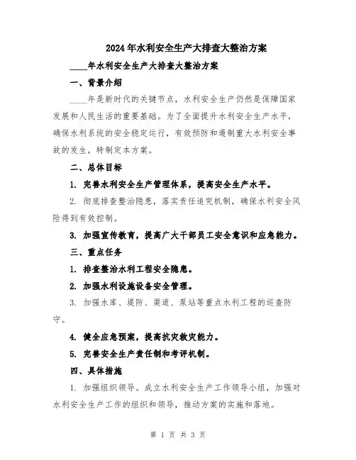 2024年水利安全生产大排查大整治方案
