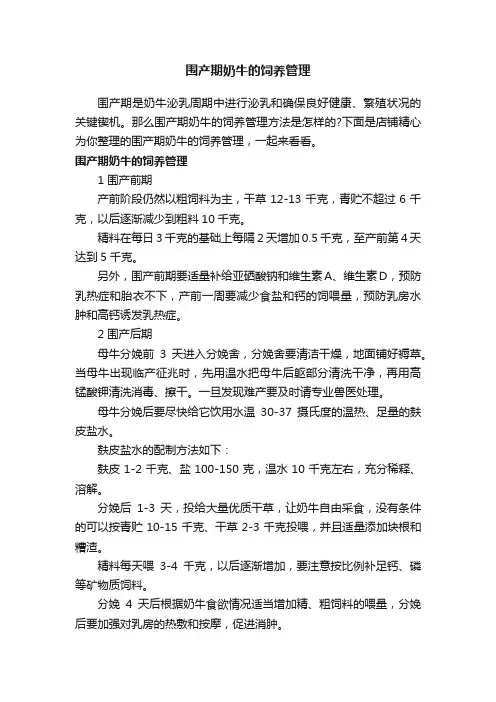 围产期奶牛的饲养管理