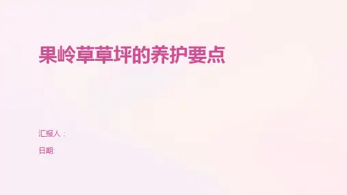 果岭草草坪的养护要点