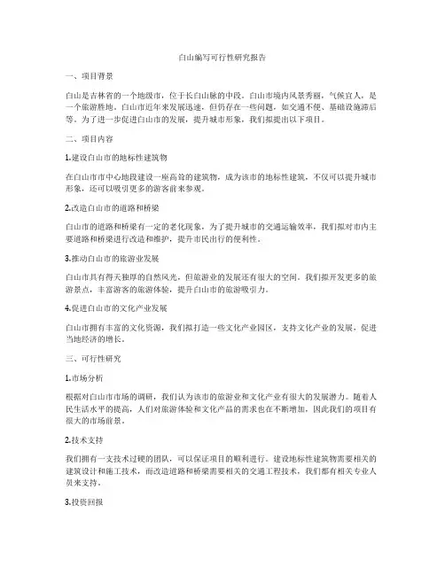 白山编写可行性研究报告